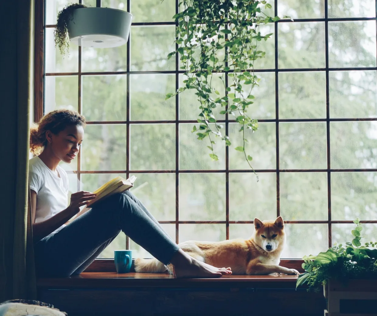 A woman reading by a sunlit window at home, her dog resting beside her